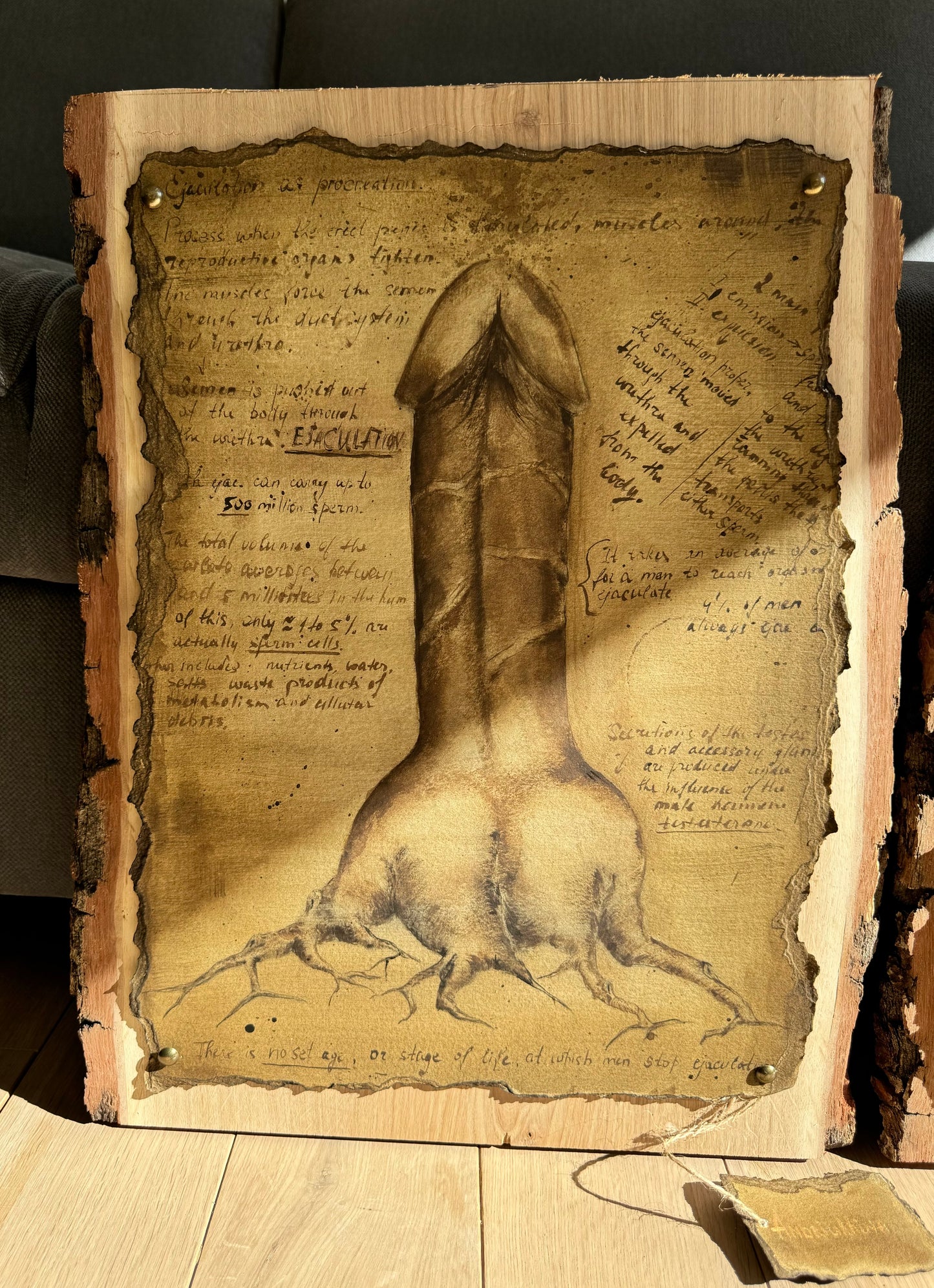 ‘Ejaculation as procreation’